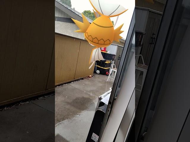 Magikarp use Splash attack!! #pokemongo #magikarp #shinypokemon