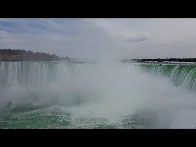 Birds Over Niagara Falls