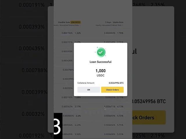 How I Got a $1000 Binance Loan in 5 SECONDS!