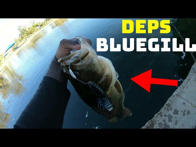 This Deps Bluegill Bait Is Super Underrated For Pressured Bass!