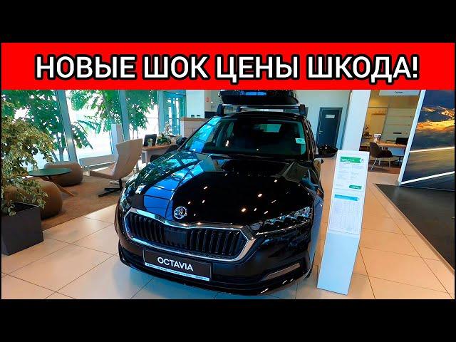 НОВЫЕ ШОК ЦЕНЫ ШКОДА ИЮЛЬ 2022! Автосалон SKODA!