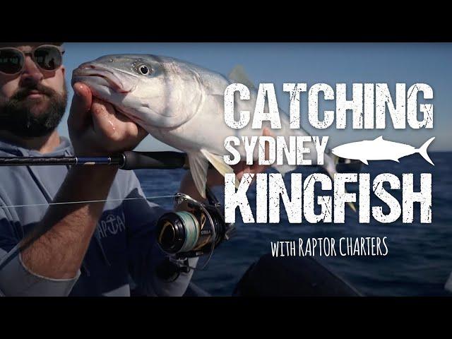 Catching Sydney Kingfish with Raptor Charters