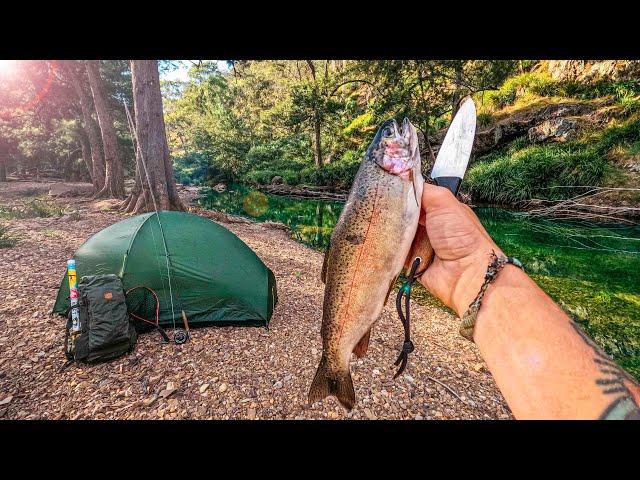 Solo Camping & Mountain Fly Fishing (Trout Catch & Cook)