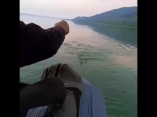 Рыбалка в Боровом