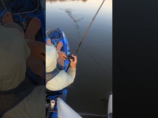 The Untold Truth Of Bass Fishing #reels #shorts #trending #fish #funny #bass