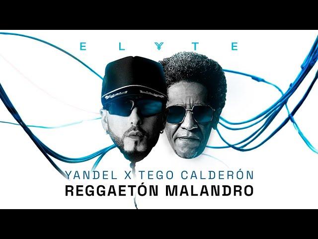 Yandel, Tego Calderón -  REGGAETON MALANDRO (Official Lyric Video)