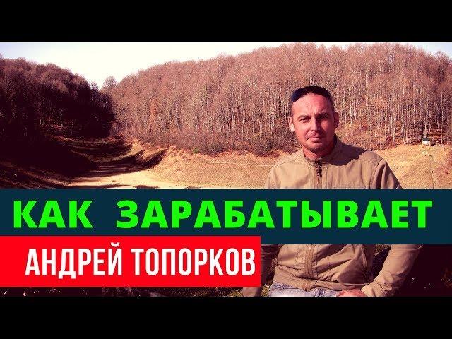 Андрей Топорков: как я зарабатываю | Возрождённый СССР Сегодня