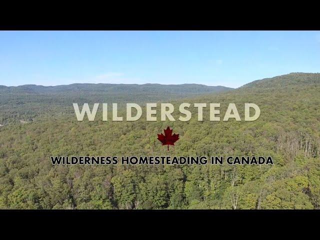 Homesteading In The North - The Trials & Tribulations Of A Canadian Wilderness & Homesteading Couple