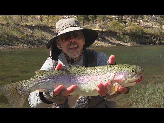 Fishing the lower West Walker River in California