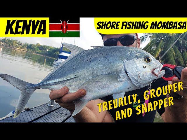 MOMBASA Catch and Cook: Shore fishing with lures in Mombasa Tudor creek, Kenya . GTs snapper grouper