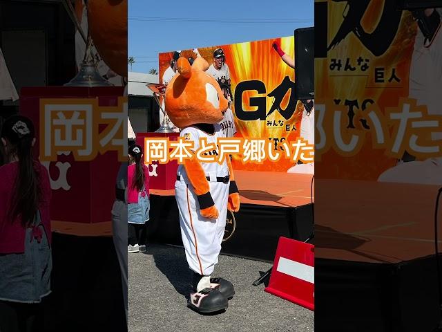 ジャイアンツ、スプリングキャンプ2025。宮崎キャンプ#巨人#東京読売ジャイアンツ
