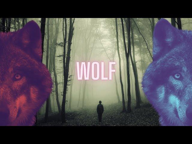 DER STEPPENWOLF Hermann Hesse / Teil 1: "Wolf oder Mensch?"