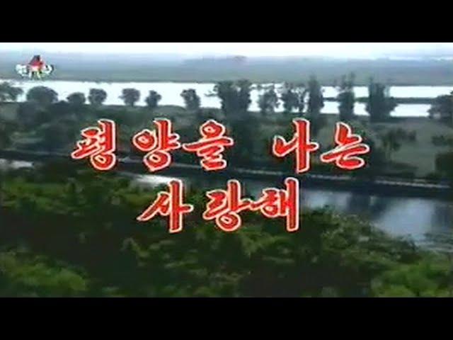 Pochonbo Electronic Ensemble - 평양을 나는 사랑해 (I Love Pyongyang)