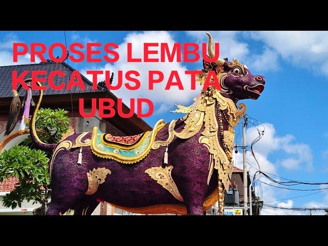 PROSES LEMBU KECATUS PATA UBUD #suryapangkung