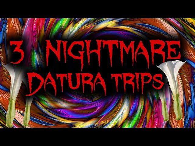 3 NIGHTMARE Datura Trip Stories