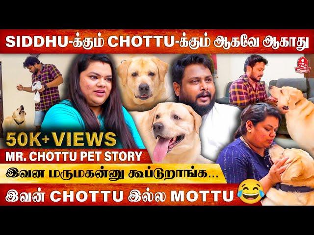 Siddhu ஓட ATM Card-அ கடிச்சு  | Mr.Chottu Interview | Siddhu Vlogs | Pet Story | @Mr_Chottu