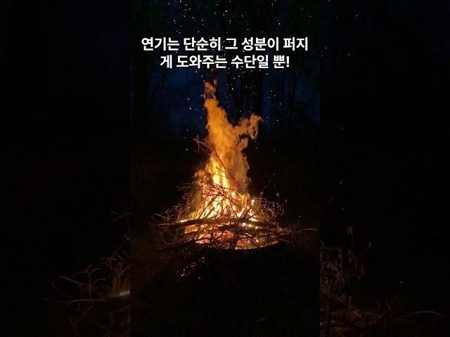 “모기향의 진짜 원리, 연기 아냐?!”#모기향 #모기퇴치 #생활상식 #여름정보 #모기잡는법 #피레스로이드 #모기향진실 #모기정보 #시니어정보 #60초지식