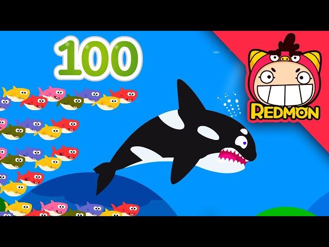 100 Sharks song | Animal songs | Nursery Rhymes | REDMON