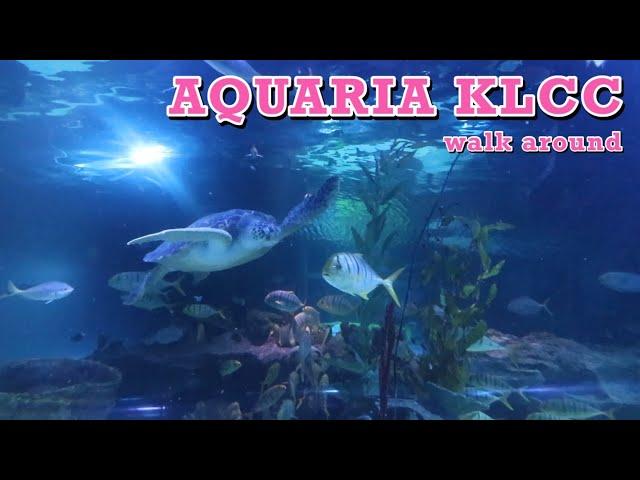 Aquaria KLCC - walkaround - January 2024