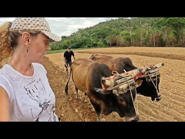 ASÍ ES LA DESCONOCIDA VIDA RURAL EN CUBA, ¡INEXPLICABLE! 