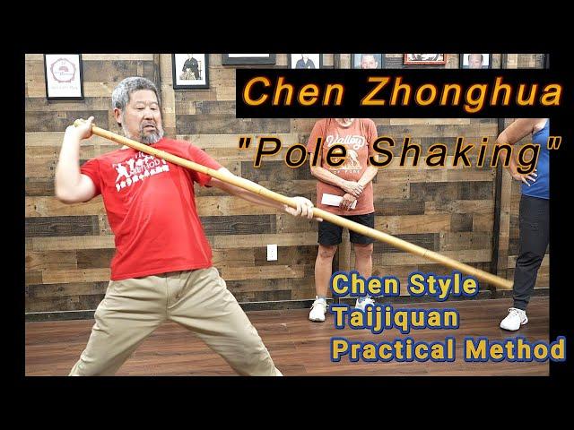 "Pole Shaking" Chen Zhonghua, Chen Style Taijiquan Practical Method Wittmann, AZ Workshop 2024