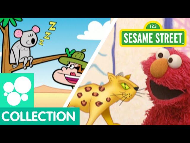 Sesame Street: Wild Animals | Elmo's World