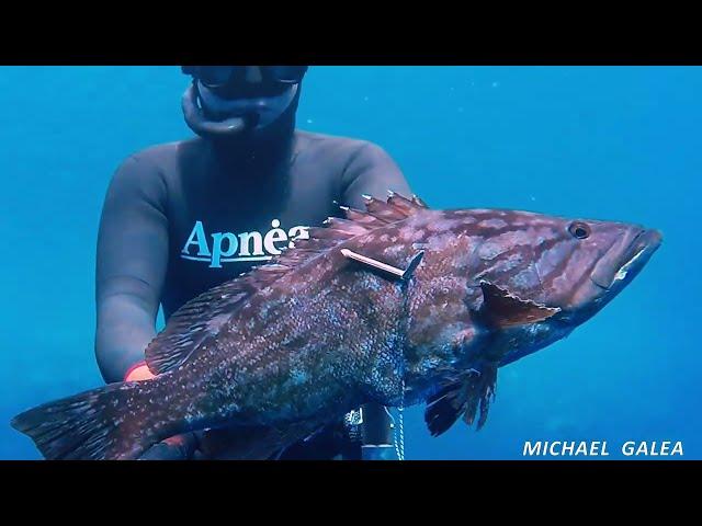 Spearfishing in Malta 2016 Michael Galea