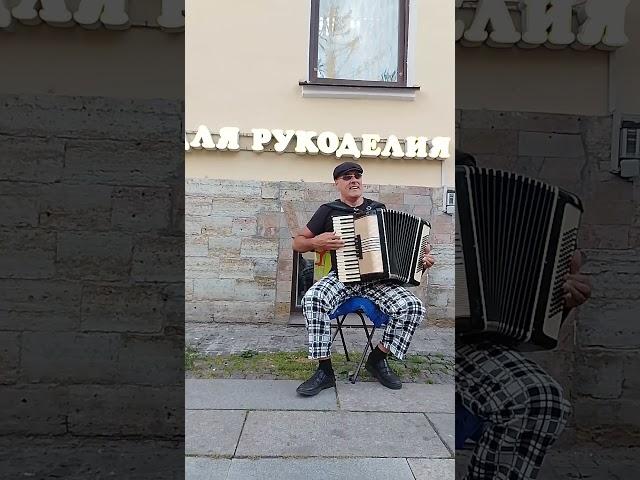 #аккардеон #живая музыка #раскудрявый клен резной #санкт петербург #часть1  #shorts