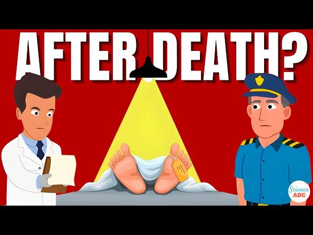 Rigor Mortis, Livor Mortis, Pallor Mortis, Algor Mortis: Forensic Science Explains Stages of Death