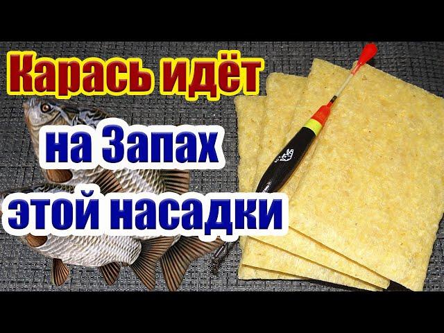 Карась Идет на Запах ! Лучшая Насадка на карася карп лещ Супер Рыболовная насадка для карася