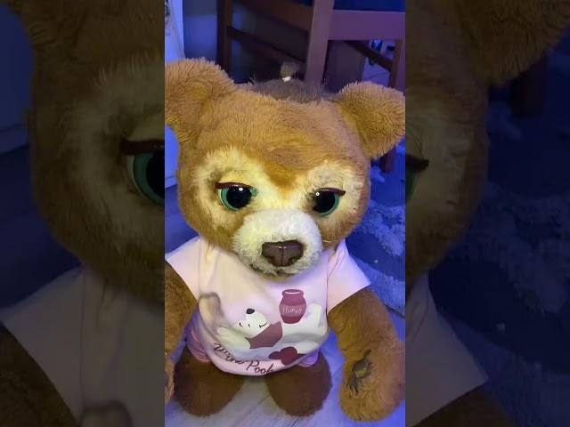 Мишелька#мишелька #мишка #shorts #рекомендации#fyp#follow #michellethebear#furrealfriends