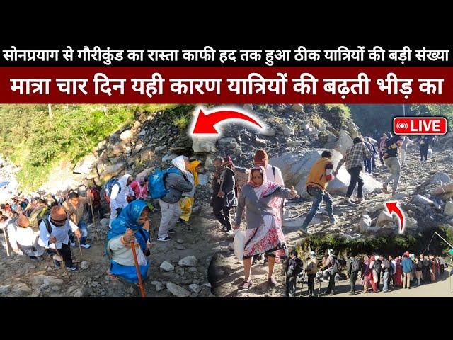 Kedarnath Yatra 2024 || Kedarnath Yatra Live Update Today || Kedarnath Yatra Update || Kedarnath