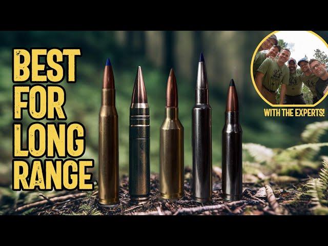 5 Best Cartridges for Long Range Shooting