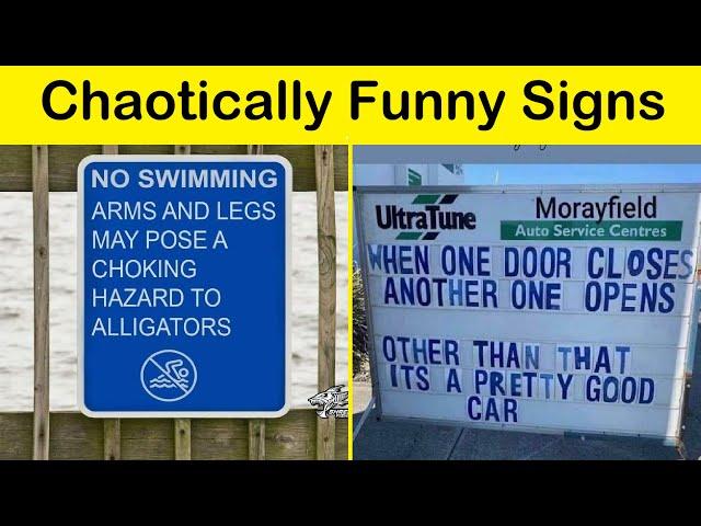 Chaotically Funny Signs (NEW) || Funny Daily