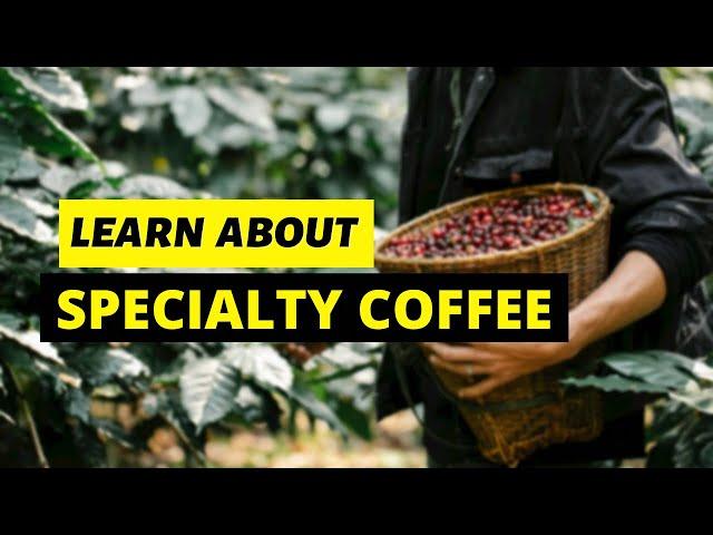 Simple explanation of specialty coffee and  what makes it the expensive coffee beans