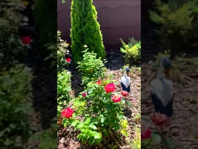 розарий своими руками