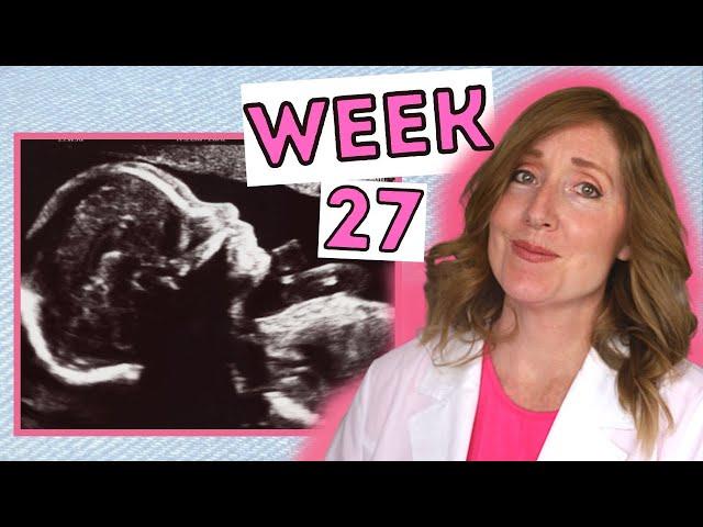 What to Expect at 27 Weeks | Week by Week 27 Weeks Pregnant in Months