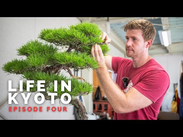 The Process of Building a House in Japan | Life in Kyoto | Ep. 4