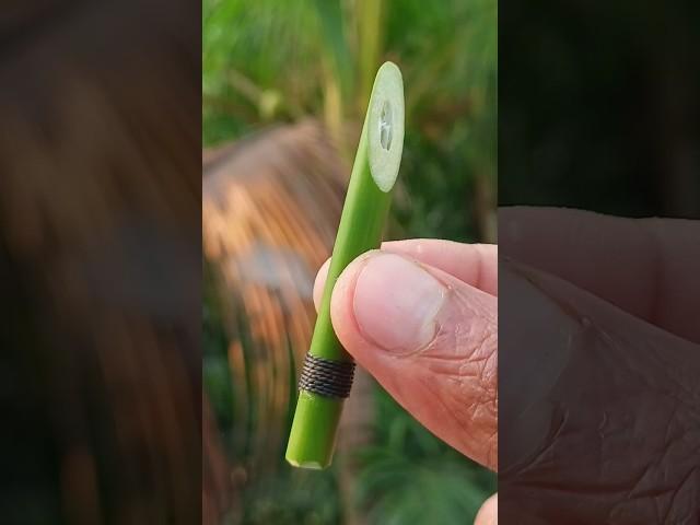 DIY - Green Bamboo Slingshots #bamboo #bambooart #Slingshots