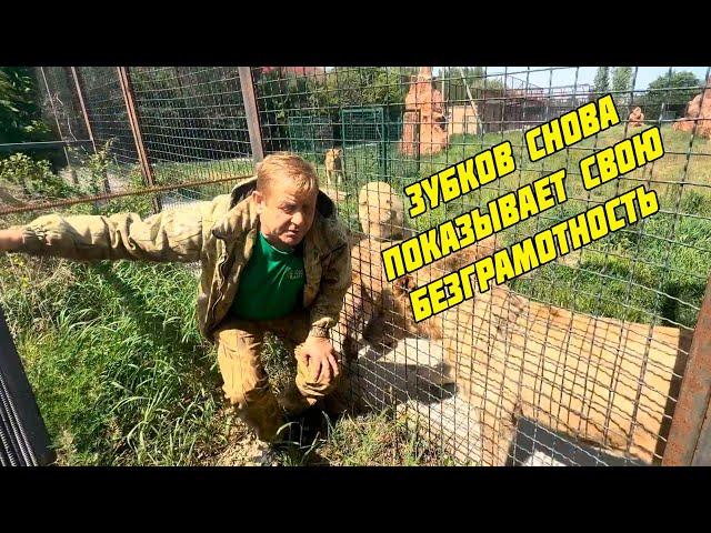 Лев Шерхан / Как Зубков снова опозорился на всю страну, 20 мая