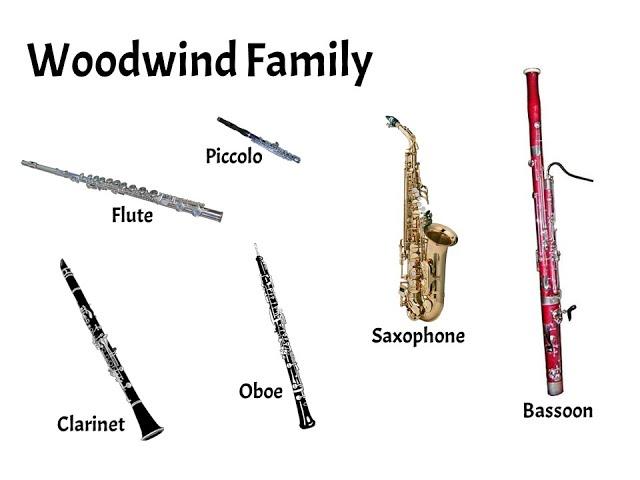 Woodwind Family