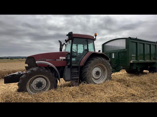 Farm update 283 Wheat yields & quality improve but huge variation between varieties. MX comes out.