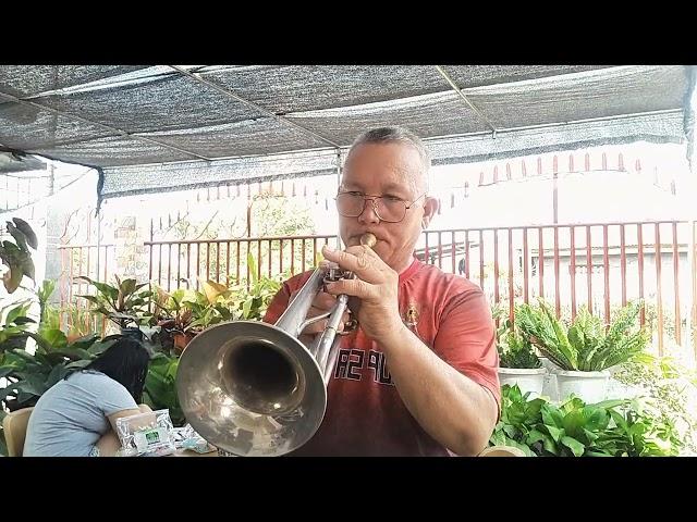 YOU'VE GOT A FRIEND - James Taylor ( Trumpet) cover by Edison Bartolay