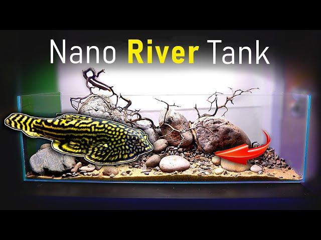 Building a RIVER TANK w/ Fast Flow! (Panda Garra & Hillstream Loach) Part 1 | MD Fish Tanks