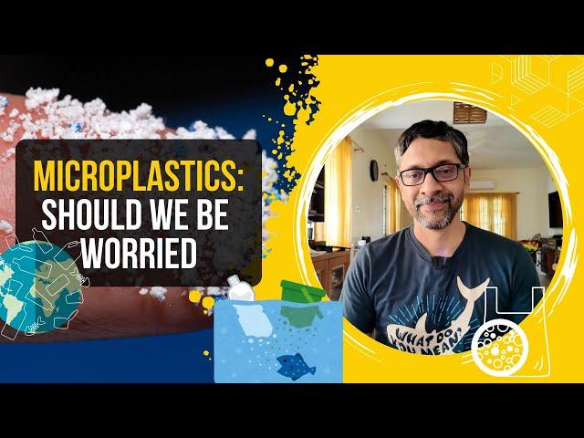 Microplastics: Should You Be Worried?