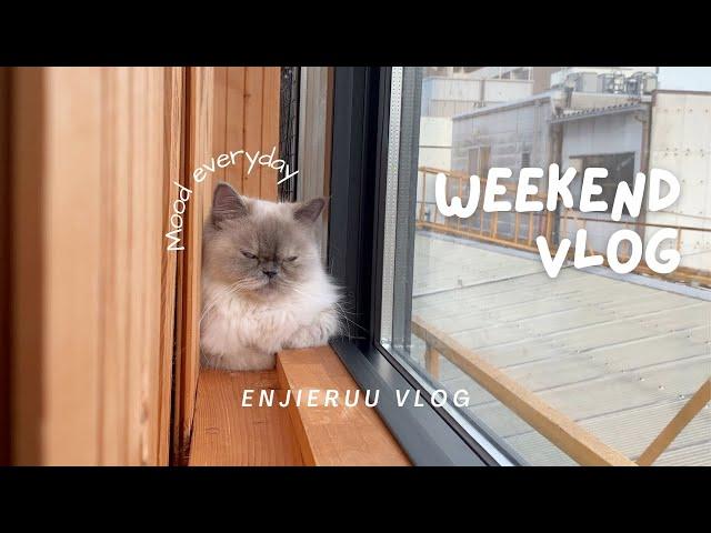 Weekend Vlog- Cat cafe, food, and apartment hunting in Japan