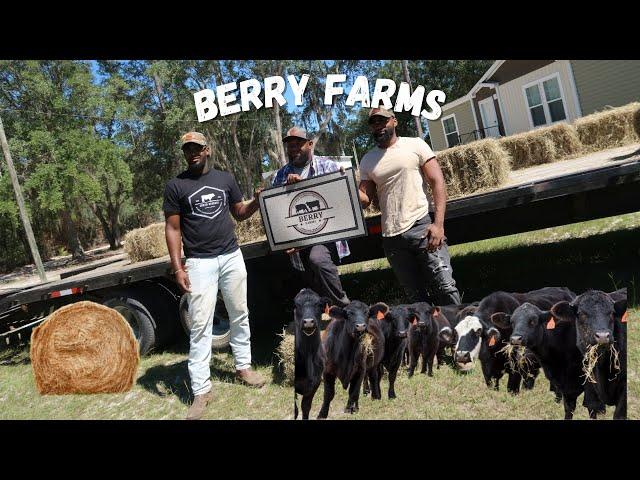 It's More Of Us Black Farmers Than You Think/ Welcome to Berry Farms