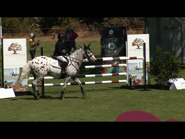 Show Jumping Waitemata World Cup Festival 2024  Pony Grand Prix