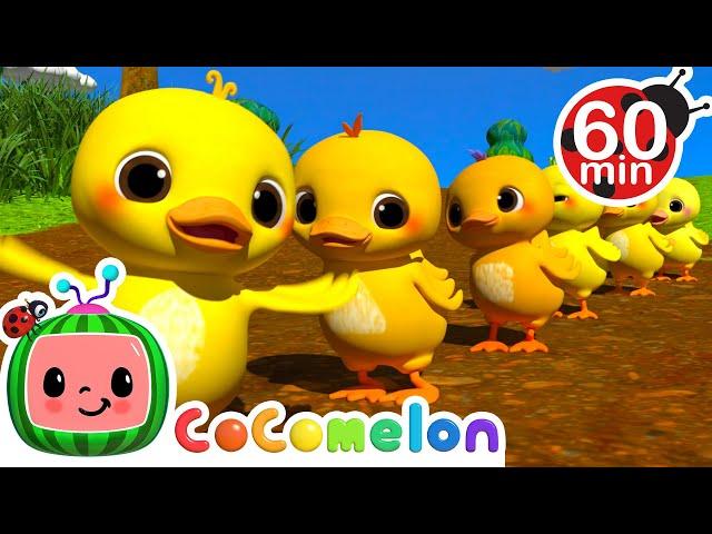 Ten Little Duckies | Best Animal Videos for Kids | Kids Songs and Nursery Rhymes