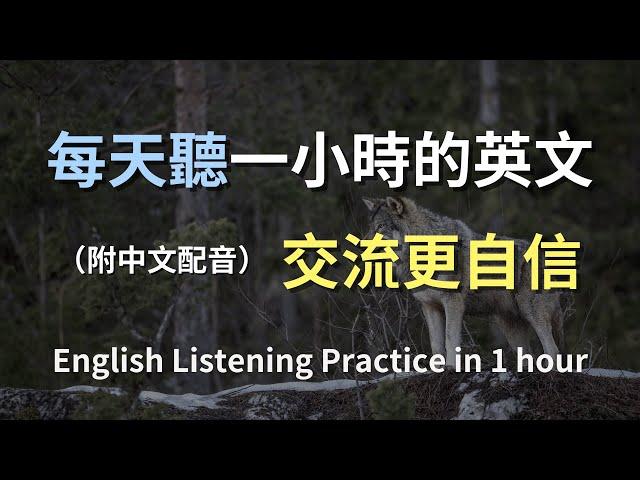 保母級聽力訓練｜學英文，從日常開始｜秒聽懂生活英語｜真實情景練習｜簡單易學的英文句子｜零基礎學英文｜提升聽力不再難｜English Listening（附中文配音）